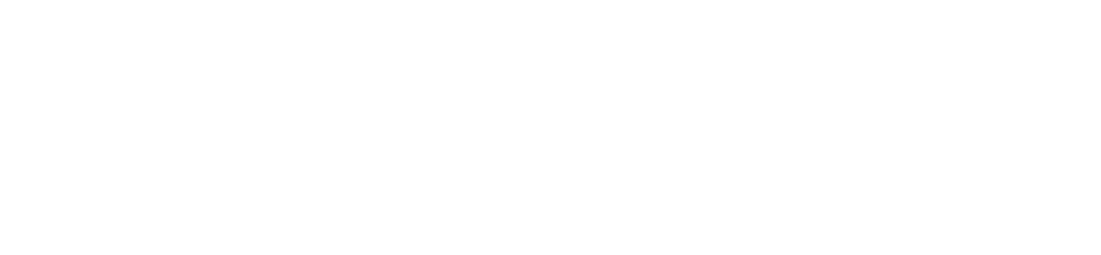 Volanti Logo